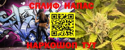 МДПВ Дубна