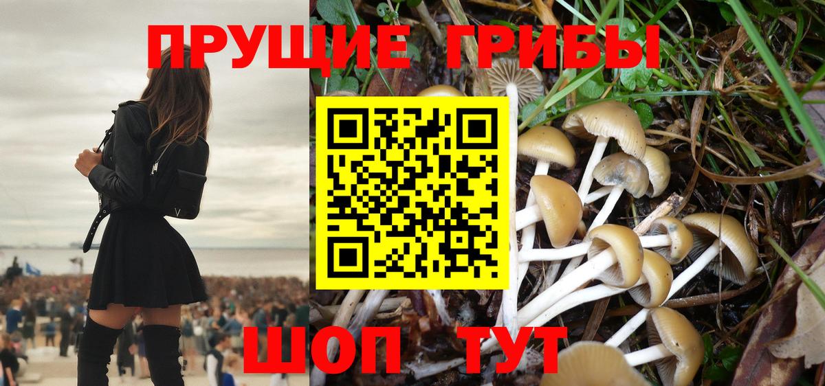 Псилоцибиновые грибы Psilocybine cubensis  Псилоцибиновые грибы Cubensis  Вход с VPN  Михайловск 