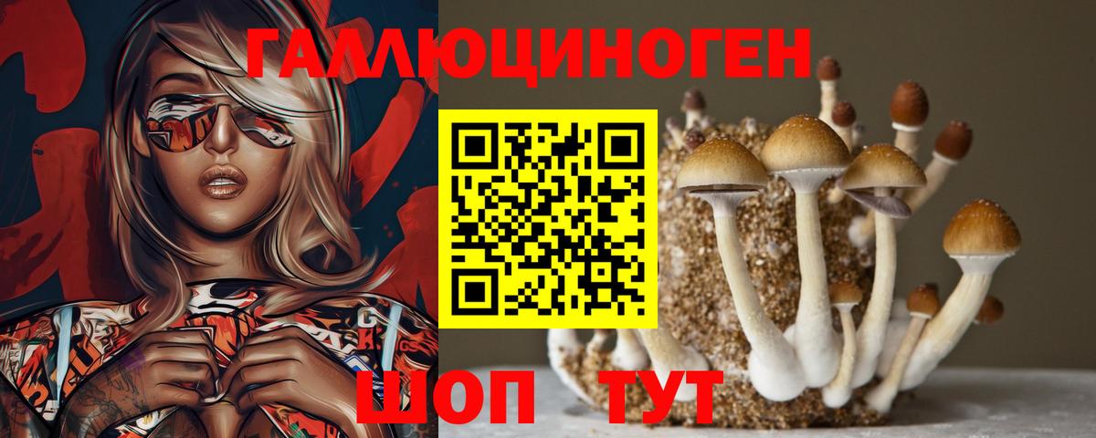 Псилоцибиновые грибы мухоморы Михайловск